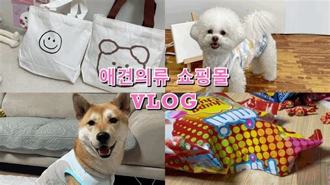 Vlog 1인 애견의류 쇼핑몰 스마트스토어패널티 구독자 70명 돌파 상품포장 베리의 일상 Youtube