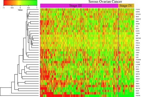 The Heatmap For The Genes Whose Expression Are Increasing From Stage