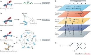 Systems Genetics Approaches To Understand Complex Traits Nature