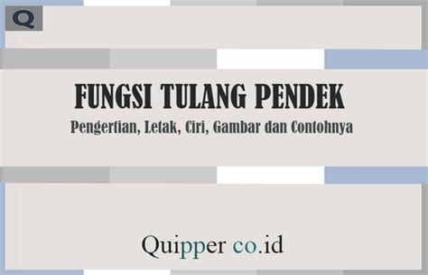 Tulang Pendek Beserta Fungsi, Bentuk, Letak, Ciri Dan Gambar