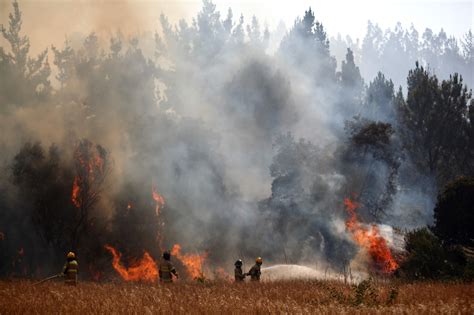 Director De Conaf Por Incendios Forestales Estamos En El Peor Escenario