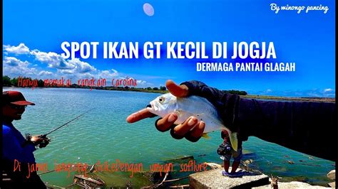 SPOT IKAN IKAN GT KECIL DI JOGJA Mancingmania Mancing Mancingikan