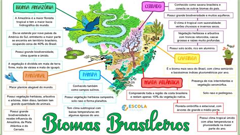 Atividade Sobre Biomas Brasileiros Ano Fdplearn