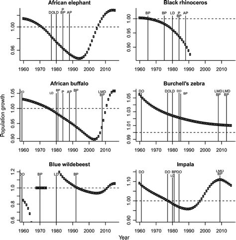 African Elephant Population Graph