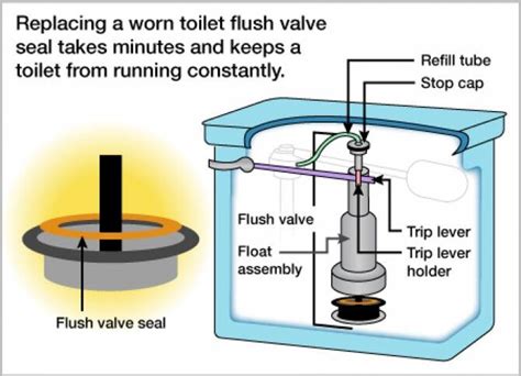 How To Replace A Toilet Flush Valve Seal Angie S List