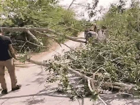 Cyclone Biparjoy Wreaking Havoc In Rajasthan Trains Cancelled Gym