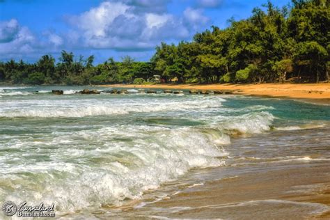 Waves On Anahola Beach In Kauaʻi Burnsland Archives