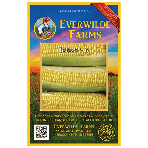 Everwilde Farms 100 Bodacious F1 Hybrid Yellow Sweet Corn Seeds