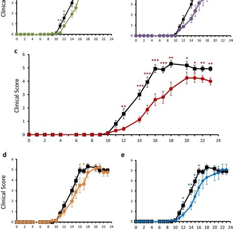 MBP Expression In Brain Structures Distribution Of MBP Immunostaining