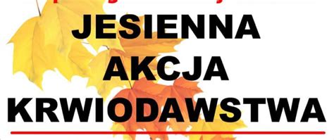 Jesienna Akcja Krwiodawstwa w Skołyszynie Powiat Jasielski Portal