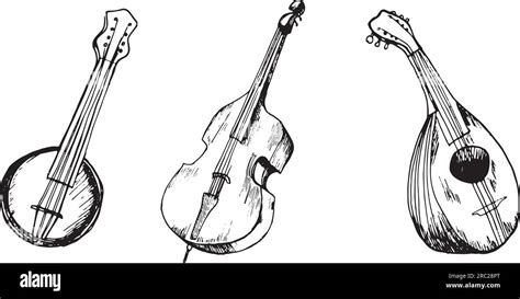 Set Of Contrabass Mandoline Banjo Musical Instrument Vector