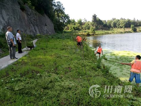 泸州鱼塘街道开展龙溪河河道清理活动川南网