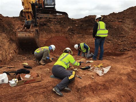 Paleo Solutions Paleontologists Excavating Columbian Mammoth Remains