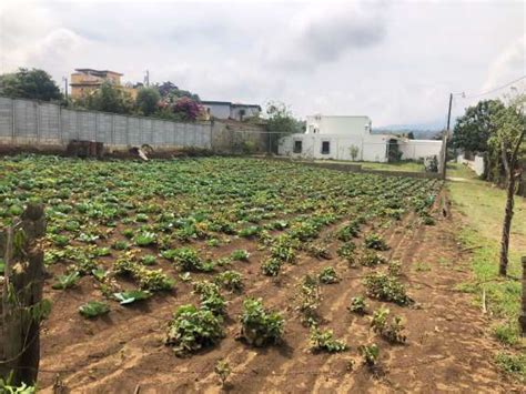 Amplio terreno en venta sta lucía milpas altas sac en Santa Lucía