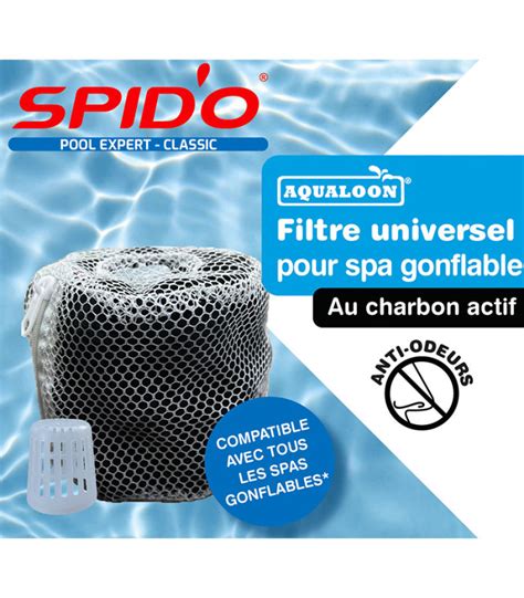 Filtre Universel Aqualoon Pour Spas Gonflables Entretenir Ma Piscine