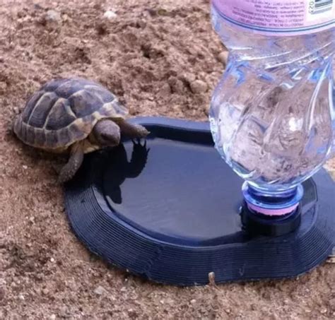 Bebedero Automático Para Tortugas Imitación Piedra Granito En Venta En