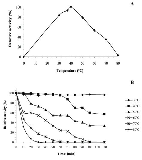 Effect Of Temperature On The A Activity And B Stability Of α