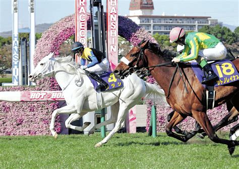 【桜花賞】サトノレイナスまたも2着 ルメールは恨み節「18番枠、ありがとう」 Umatoku 馬トク