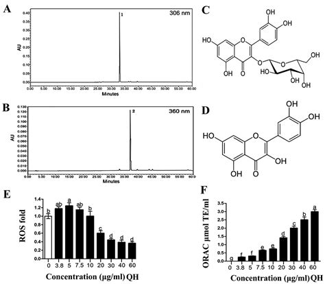 Combination Of Quercetin And Hyperoside Has Anticancer Effects On Renal