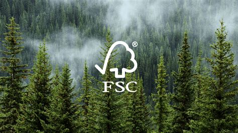 What Is Fsc Why Is Fsc Certified Packaging Important Kitchenclass