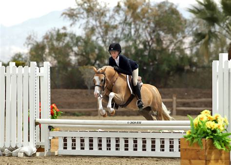 Snowfield Farm Parker Colorado Riding Lessons Horse Shows Training