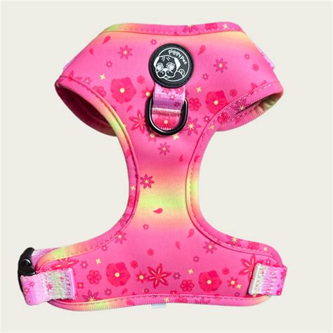 Pettorina Ad H Per Cani Flower Power Pink Pettorina Regolabile Piggy Pet