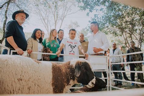 Herrera Ahuad destacó el trabajo del sector ovino caprino de Misiones