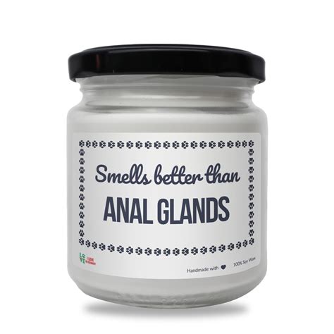 Smells Better Than Anal Glands Scented Soy Candle Funny Candle For
