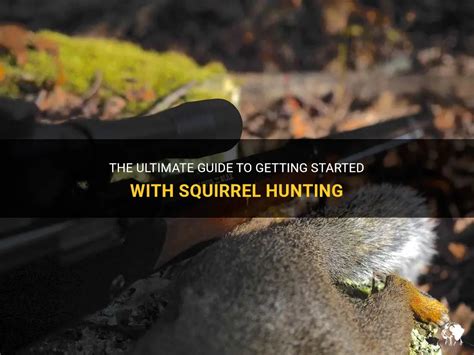 The Ultimate Guide To Getting Started With Squirrel Hunting Petshun