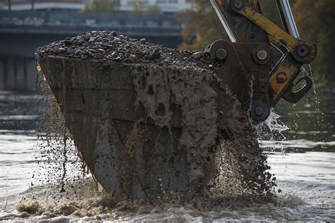 Phosphorus Loading Natural Lake Biosciences