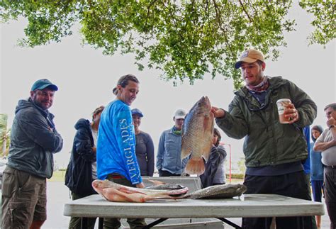 Scientists Conduct First Survey Of Invasive Fish In Indian River