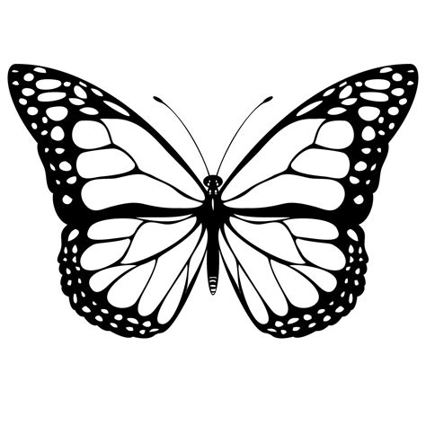 Line Drawing Butterflies At Getdrawings Free Download