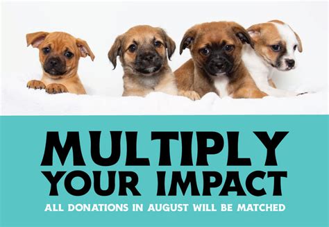 Woods Humane Society Announces 10000 Donation Match Challenge Woods