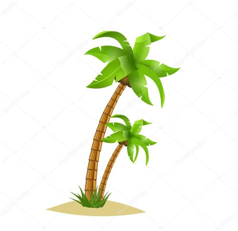 Palmera Vector De Stock Por Oxygendesign021 11362693