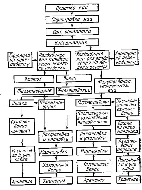 4. Хранение яиц