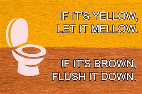 If Its Yellow Let It Mellow If Its Brown Flush It Down Or Not