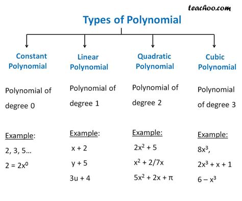 Differnet Types Of Polynomial Constant Linear Quadratic Teachoo