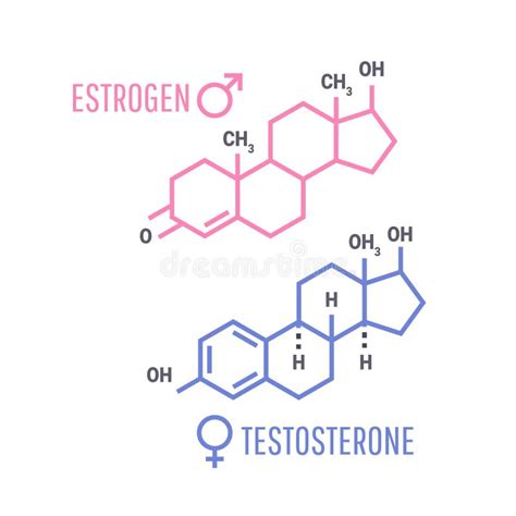 Sex Hormones Molecular Formula Stock Vector - Illustration of health, male: 115599062