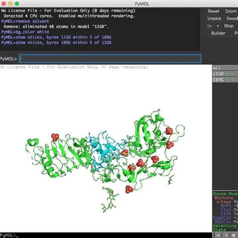 使用 Pymol 可视化蛋白质 蛋白质对接 知乎