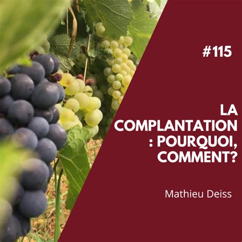 La Terre Boire Nos Podcasts Sur Le Vin