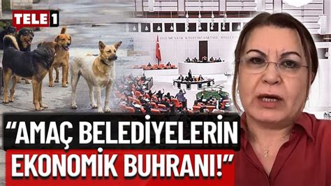 Gülizar Biçer Karaca Katliamı Yasası nın arka planını anlattı AKP