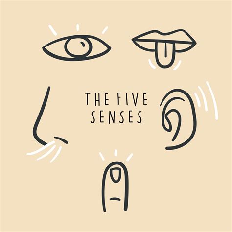 Hand Drawn Simple Icons Representing The Five Senses Hand Drawn