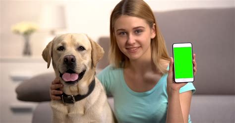 Exploring the Top 5 Virtual Pet Apps - Geeky Insider