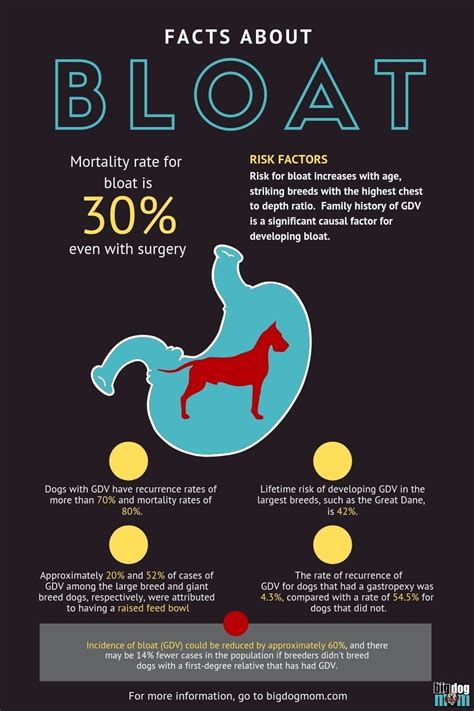 Bloat in Dogs: 7 Simple Steps That Can Save Your Dog [FAST!]