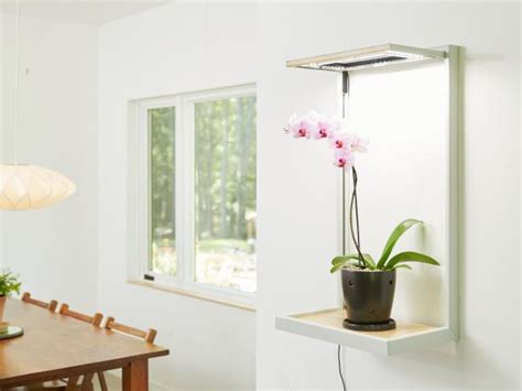 Do Fluorescent Lights Help Plants Grow | Homeminimalisite.com