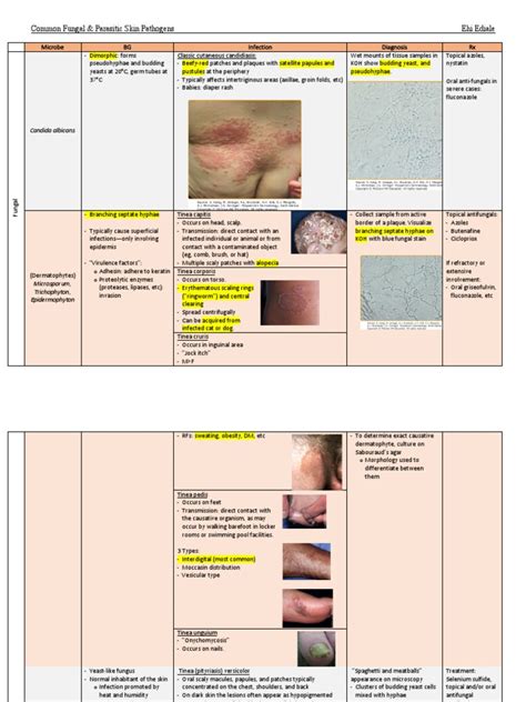 skin pathogens  candidiasis animal diseases