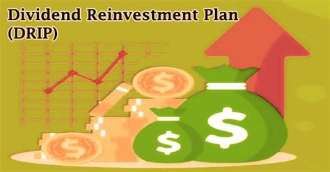 dividend reinvestment plan drip assignment point