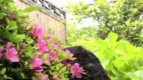 Crumb Milf Bangs Sweet Hot Son