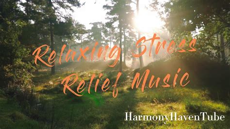 Relaxing Stress Relief Music For Calm Minds Peaceful Piano To Soothe