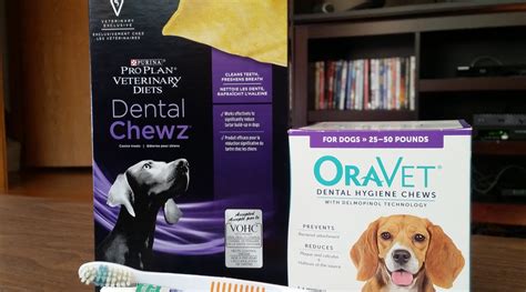 Canine Dental Approved Products at Will Bracy blog